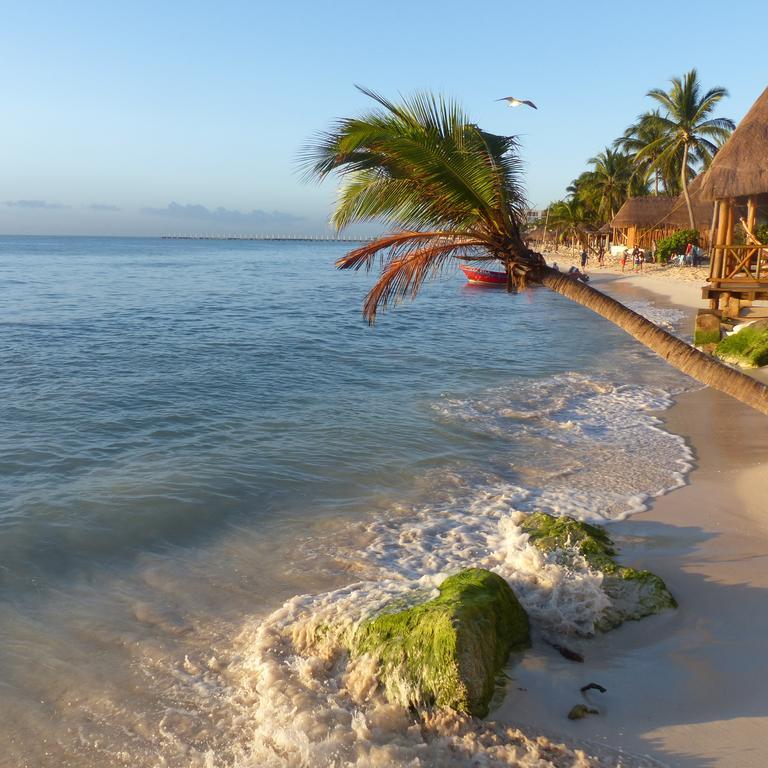 Lilas Del Mar Apartments Playa del Carmen Exterior photo